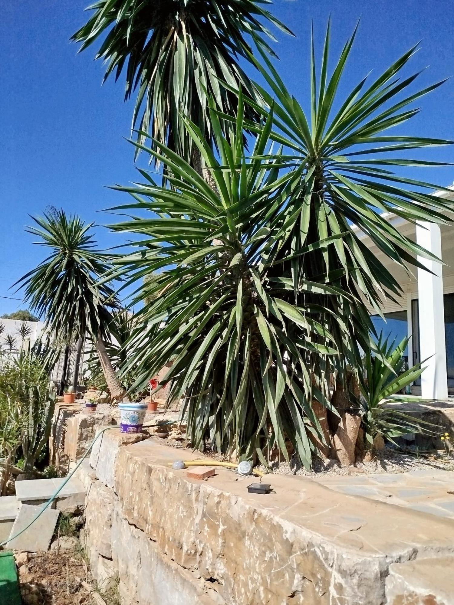Ferienwohnung San Roque Countryside Annex Exterior foto